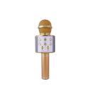 WS 858 Mic (Wireless Mic) Built-in Speaker – Karaoke Mic4