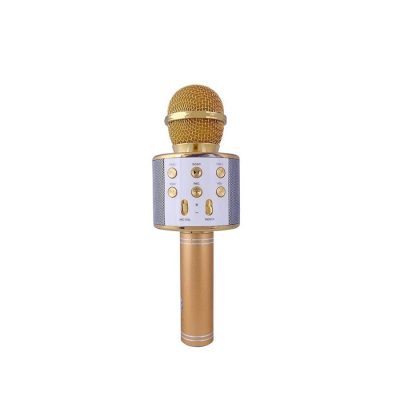 WS 858 Mic (Wireless Mic) Built-in Speaker – Karaoke Mic4