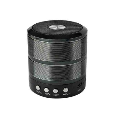 Wireless Portable WS 887 Bluetooth Speaker With Memory Card Slot, USB Pen Drive Slot, AUX Input Mode
